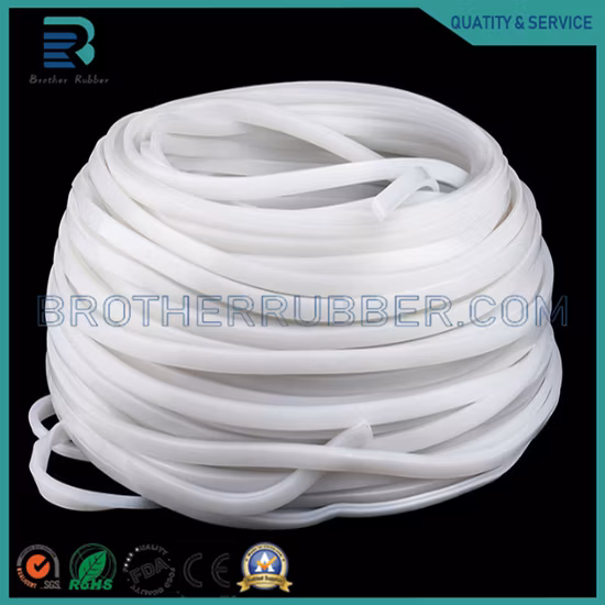 Solid and Foam Rubber Co Extrusion Seal Strip EPDM Rubber Profile